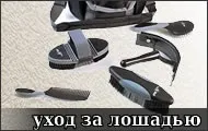 Посібник з догляду за конем кінь