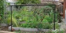 Садові шпалери для кучерявих рослин своїми руками садові