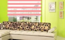 зебра