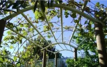 Садові шпалери для кучерявих рослин своїми руками садові
