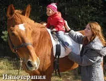 Посібник з догляду за конем посібник