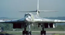лебідь