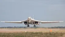 лебідь