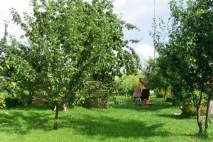 З чого розпочати освоєння земельної ділянки освоєння