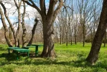 Санаторій Мінеральні води - 2 (Залізноводськ, КавМінВоди) - ціни на 2019, Офіційний сайт води