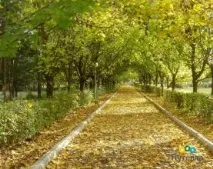 Санаторій Мінеральні води - 2 (Залізноводськ, КавМінВоди) - ціни на 2019, Офіційний сайт мінеральні