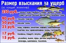 Штраф за лов риби мережами в Україні на сьогоднішній день мережами