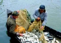 Штраф за лов риби мережами в Україні на сьогоднішній день штраф