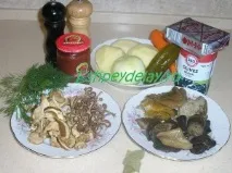 Солянка грибна збірна. грибна
