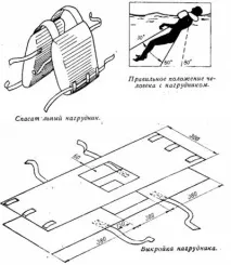 домашня