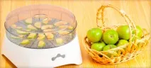 Сушарка для овочів та фруктів як вибрати, рейтинг кращих (Ізідрі, Вітерець, Zelmer, Ротор та Суховей) фруктів