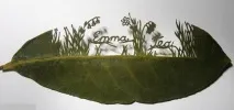 Таємні малюнки листя – Ярмарок Майстрів таємні