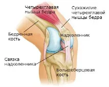 Зв’язки колінного суглоба – лікування колінного