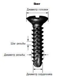 импланти