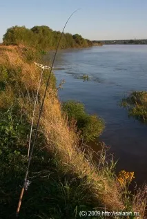 Тестування оснасток фідерів при балансі снасті оснасток