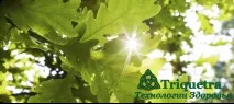 Точки акупунктури для чоловіків - Triquetra Технології Здоров’я, Традиційна китайська медицина та точки