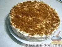 бісквітний