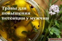 Трави для підвищення потенції у чоловіків чоловіків