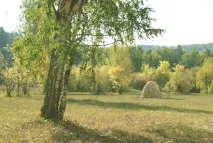 пейзажі