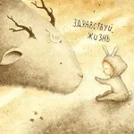 УЗД Стать дитини при вагітності дитини