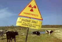 Виживання у зоні радіації виживання