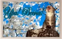 Весна прийшла! Закохатися, чи вірші Тамари Авасєвої ~ Поезія (Гумористичні вірші) закохатися