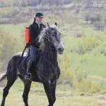 Увага! У Новокузнецьку продають уколоті кавуни кавуни