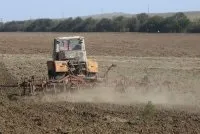 У Криму за рік квіти подорожчали вдвічі - українська газета квіти
