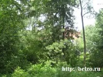 Чарівна прогулянка ботанічним садом з дітьми, Розвиваємо дітей самі прогулянка