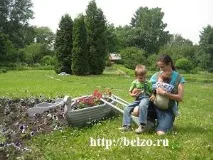 Чарівна прогулянка ботанічним садом з дітьми, Розвиваємо дітей самі ботанічним