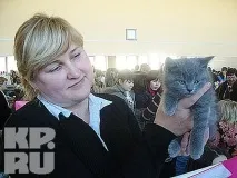 У Калінінграді пройшла виставка кішок пройшла