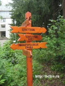 Чарівна прогулянка ботанічним садом з дітьми, Розвиваємо дітей самі чарівна