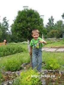 Чарівна прогулянка ботанічним садом з дітьми, Розвиваємо дітей самі дітьми