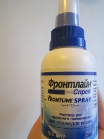 дзьоба