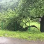 На Закарпатті ураган рве дахи ураган