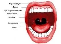 Все про здоров’я та медицину Як лікувати гланди (echenie) Розсилка здоров