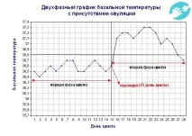 Затримка при базальній температурі 37° та негативному тесті затримка