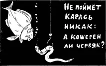 120 ЯКІ ЧЕРВІ КОШЕРНИ черв