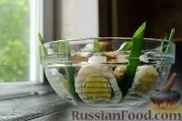 Салат з шинкою, На святковий стіл, рецепти з фото на 96 рецептів шинкою