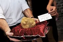 Найдорожчі делікатеси » Пізнавально-розважальний блог делікатеси