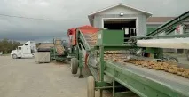 Вся правда про картоплю фрі в білоукраїнському МакДональдсі, Читайте також, сторінка 1170 картоплю