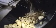 Вся правда про картоплю фрі в білоукраїнському МакДональдсі, Читайте також, сторінка 1170 також