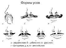 Все про стрижки та зачіски Як стригти бороду та вуса зачіски