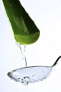 алое
