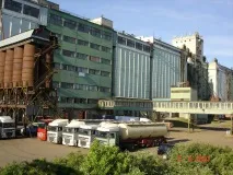 Асоціація Золота Коза Годування кіз годування