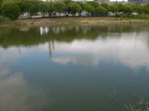 Бази відпочинку Омської області (для відпочинку з рибалкою) області
