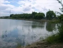 Бази відпочинку Омської області (для відпочинку з рибалкою) бази