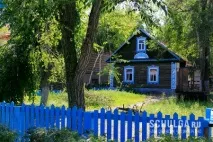 подвір