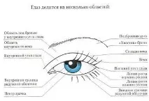 зростання