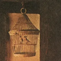 §9. Cușcă de păsări